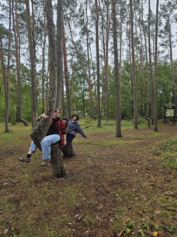 Photo of three students in the Crooked Forest