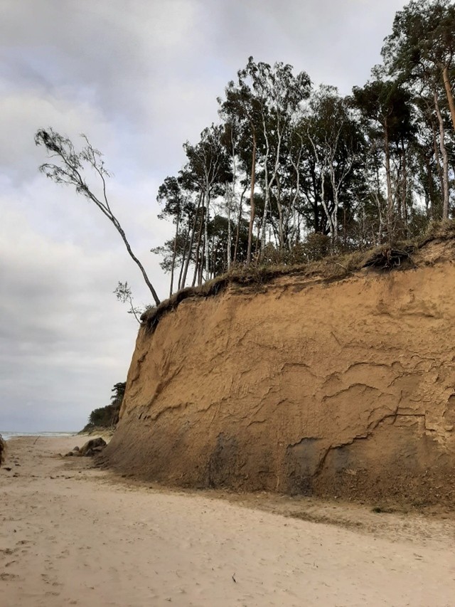 Photo of a sandy cliff 