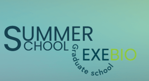 Minimalist graphic promoting a Summer School at EXEBIO Graduate School, with stylized text on a soft blue-green gradient background