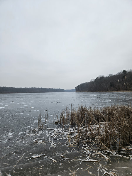 On the trail of the glacier - Erasmus+ students attending field workshops in the Great Poland National Park