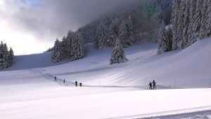 Cross-Country Skiing in Jakuszyce  